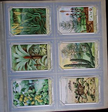 2 albums Liebig, 600 cartes - Album de cartes postales (600) beschikbaar voor biedingen