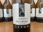2022 Livon Pinot Bianco Cavezzo - Friuli-Venezia Giulia, Nieuw