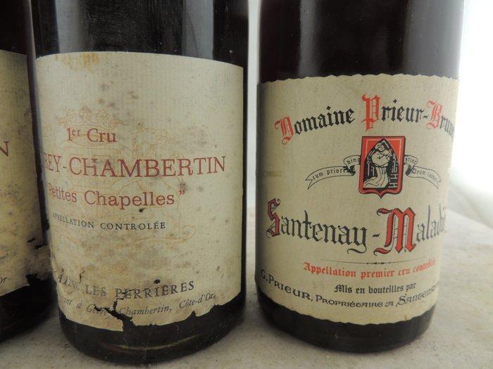 1976 Domaine Les Perrières Gevrey Chambertin  Petites, Collections, Vins