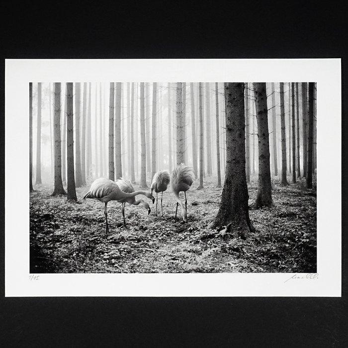 Frank Machalowski - tierwald#181, Antiquités & Art, Art | Objets design