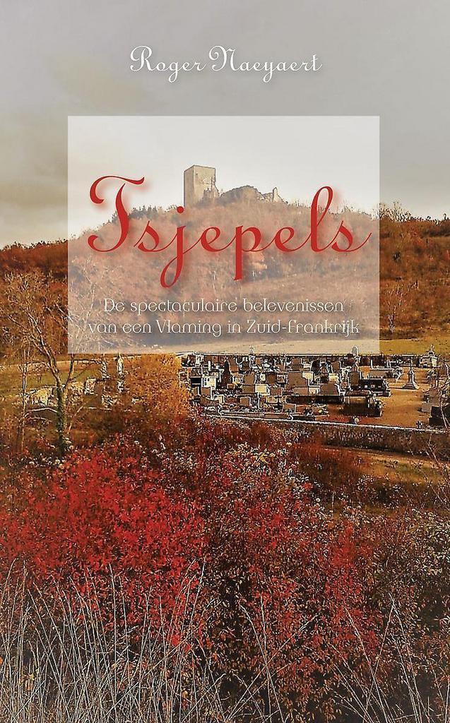 Tsjepels 9789402233094 Roger Naeyaert, Boeken, Literatuur, Gelezen, Verzenden