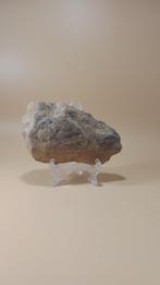 Neolithisch Grote Flint-kapper / Zwaar Kern-Gereedschap, Verzamelen