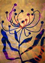 Lupo - Urban Jungle 188 - Real Gold - XXL-NO Reserve