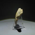 Neolithisch Vuursteen Flint Tool. Michelsberg Cultuur, Antiek en Kunst