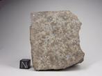 NWA 12544 - Hoofdmasse -L4 Meteoriet - 665 g