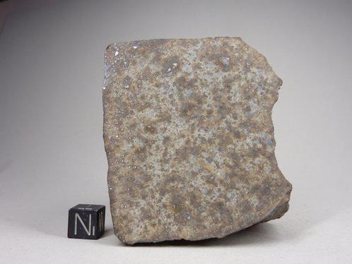 NWA 12544 - Hoofdmasse -L4 Meteoriet - 665 g, Verzamelen, Mineralen en Fossielen