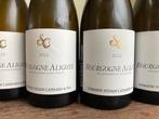 2023 Domaine Sylvain Cathiard Bourgogne Aligote - Bourgogne, Nieuw