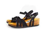 Hush Puppies Sandalen in maat 40 Zwart | 5% extra korting, Kleding | Dames, Schoenen, Verzenden, Zwart, Sandalen of Muiltjes, Zo goed als nieuw
