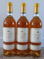 1989 Chateau dYquem - Sauternes 1er Cru Supérieur - 3, Verzamelen, Nieuw