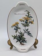 Villeroy & Boch - Botanica - Schaal (2) - Schaal /