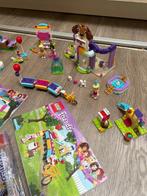 Lego Set - Friends - Tiny house, hondenopvang , boshuis ,, Kinderen en Baby's, Speelgoed | Duplo en Lego, Nieuw