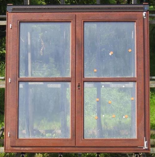afzelia houten raam , chassis , venster 128 x 132, Doe-het-zelf en Bouw, Raamkozijnen en Schuifdeuren, Inclusief glas, Nieuw, Hout