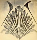 War paddle club - Salomon warriors - Salomonseilanden