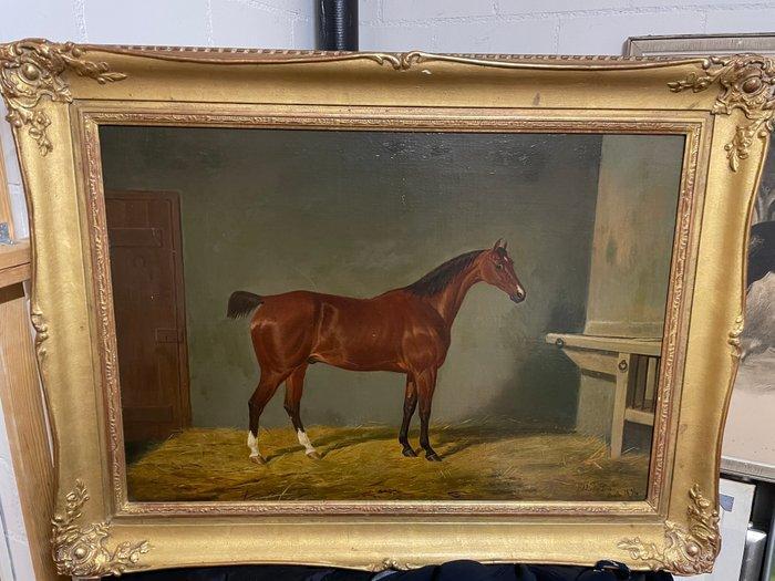 James Loder (1784-1860) - Pferd, Antiek en Kunst, Kunst | Schilderijen | Klassiek