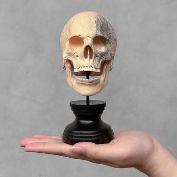 Snijwerk, NO RESERVE PRICE - Stunning Wooden Human Skull