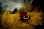 Viet Ha Tran - Afternoon on the field