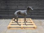 Beeld, Bronze: XL Greyhound Dog - 77 cm - Brons - 2025, Antiek en Kunst