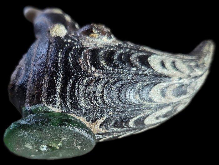 Islamitisch gegoten glazen vogel (Zonder minimumprijs), Antiek en Kunst, Antiek | Overige Antiek