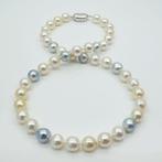 Akoya Pearls, Natural Candy Colors, 8.5 -9 mm - Halsketting