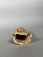 Oud Chinees, Tang-dynastie Terracotta Mingqi - 26.5 cm