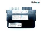 CDI / ECU unit Triumph Tiger 1050 2007-2012 (1292630), Motoren, Onderdelen | Overige, Verzenden, Gebruikt