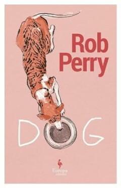 Dog 9781787704718 Rob Perry, Boeken, Taal | Engels, Gelezen, Verzenden