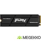 Kingston SSD Fury Renegade 1TB Heatsink, Verzenden