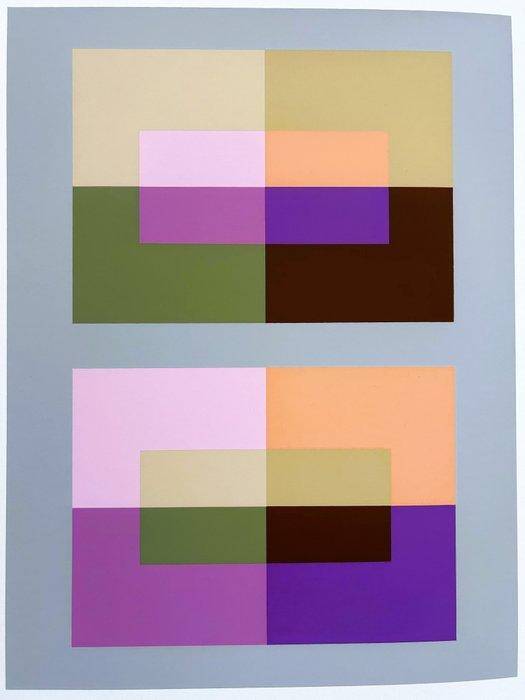 Josef Albers (1888-1976) - Interaction of Colors, Antiquités & Art, Antiquités | Autres Antiquités