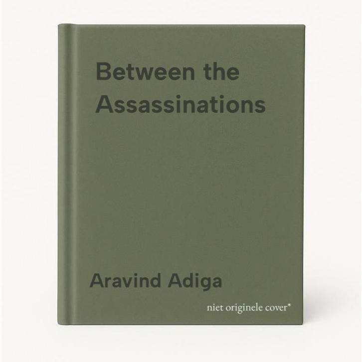 Between the Assassinations 9781848871229 Aravind Adiga, Boeken, Taal | Engels, Gelezen, Verzenden