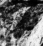 Pierre Cuq Touré - La Trahison: neuvième cercle des enfers