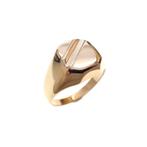 Bicolor gouden heren ring (zegelring, witgoud, herenring), Gebruikt, Overige kleuren, 20 of groter, Ophalen of Verzenden