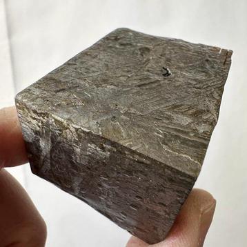 Météorite d’Aletai Octahédrite - Hauteur : 55.7 mm - Largeur