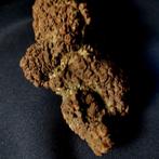 298 g 13,40 cm × 5,20 cm XXL fossiel dinosaurus of