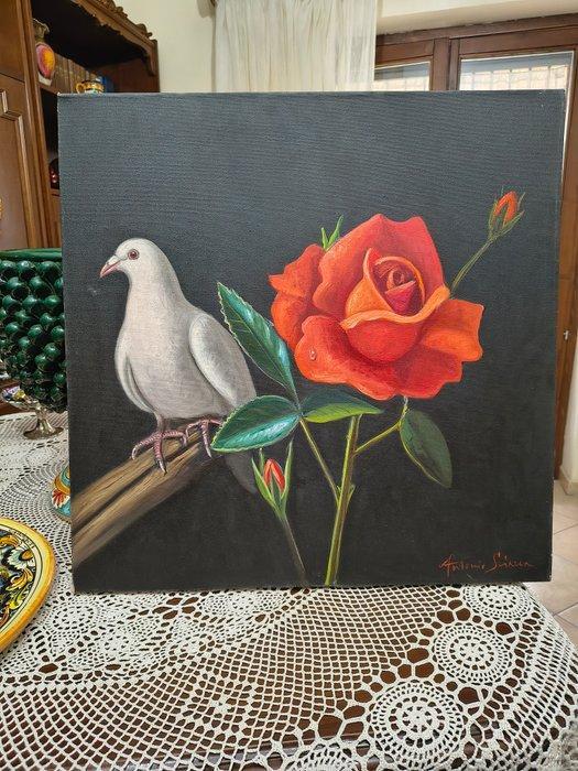 Antonio Sciacca (1957) - Colomba e Rose, Antiek en Kunst, Kunst | Schilderijen | Klassiek