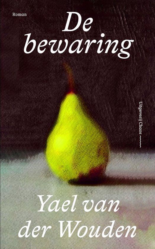 De bewaring 9789493320604 Yael van der Wouden, Boeken, Romans, Zo goed als nieuw, Verzenden