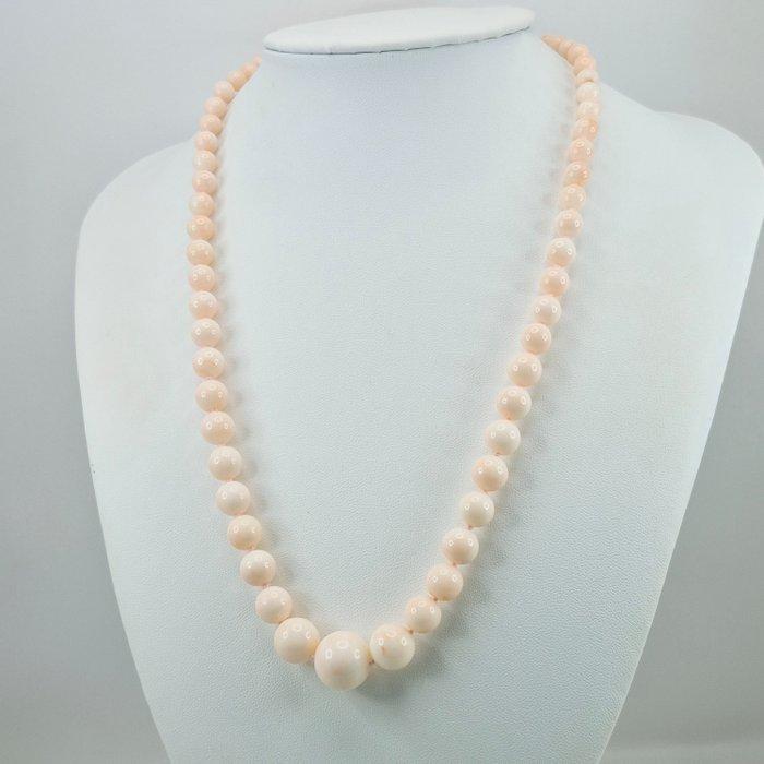 Koraal - Verguld, Zilver - Halsketting - ROZÉ CORALLO, Antiek en Kunst, Curiosa en Brocante