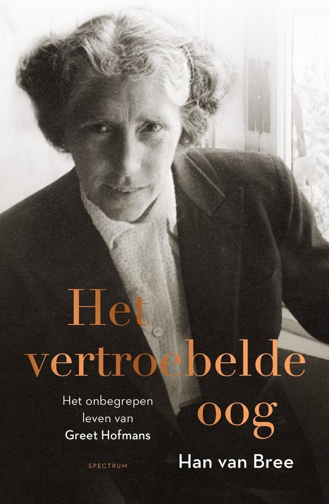 Het vertroebelde oog (9789000354511, Han van Bree), Antiek en Kunst, Antiek | Boeken en Manuscripten, Verzenden