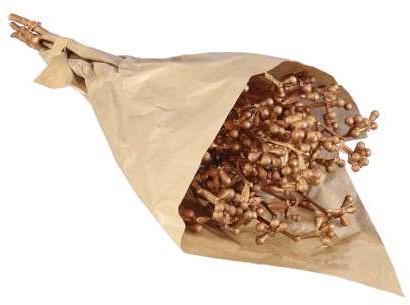 Eucalyptusfruit op Tak Koper 55cm, Huis en Inrichting, Woonaccessoires | Kunstplanten en Kunstbloemen, Nieuw