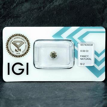 1 pcs Diamant (Natuurlijk gekleurd) - 0.50 ct - Rond - Fancy