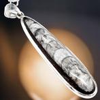 Sterling zilveren hanger - Gefossiliseerde schelp -