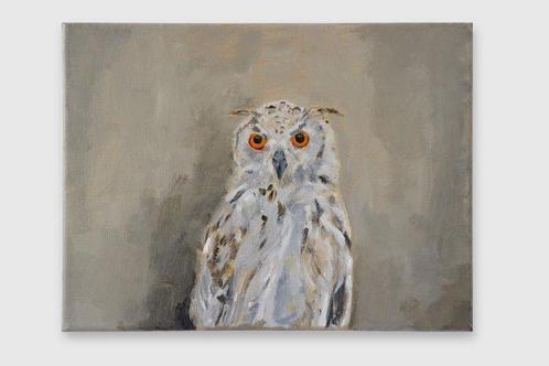 Matthieu van Riel - Owl, Antiek en Kunst, Kunst | Schilderijen | Modern
