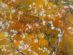 Floraison dorée – Hommage à Van Gogh sur coton OEKO-TEX -