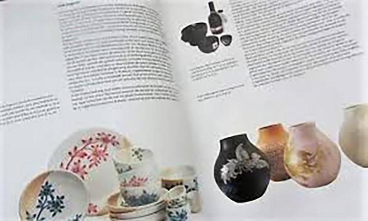 Hedendaagse Keramiek in Nederland 9789080381049 P. Augustijn, Boeken, Kunst en Cultuur | Fotografie en Design, Zo goed als nieuw