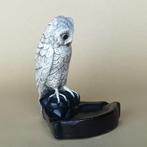 Plateau - Plâtre - Uiltje