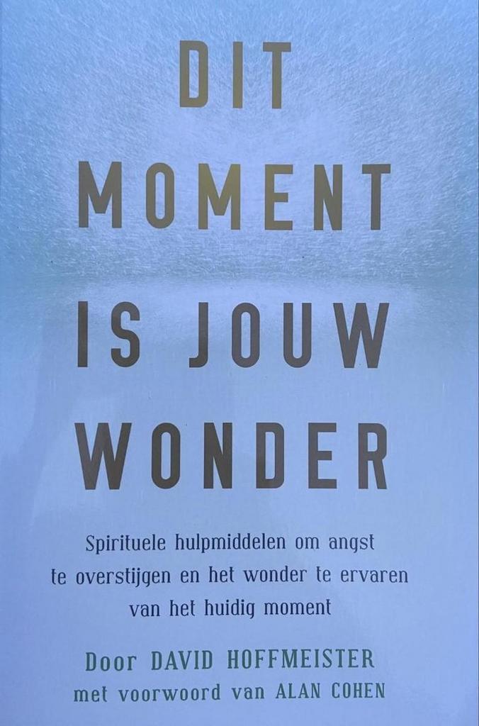 Dit moment is jouw wonder 9789078405047 David Hoffmeister, Livres, Ésotérisme & Spiritualité, Envoi