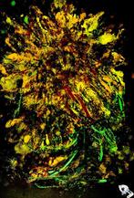 Julien Danaux - TOURNESOL 1, Antiek en Kunst, Kunst | Schilderijen | Modern