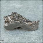 Natuurlijke meteoriet Campo Del Cielo Groot, Argentinië-