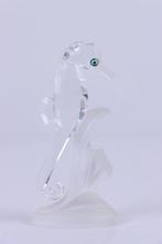 Figure - Swarovski - Zeepaardje (Boxed + certificate) -, Antiek en Kunst