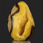 Septaria Wild Yellow Crystals Fine Large Wild Septaria, Verzamelen, Mineralen en Fossielen