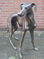 Beeld, Hond bronze beeld greyhound - 87 cm - Bronze echtheid, Antiek en Kunst